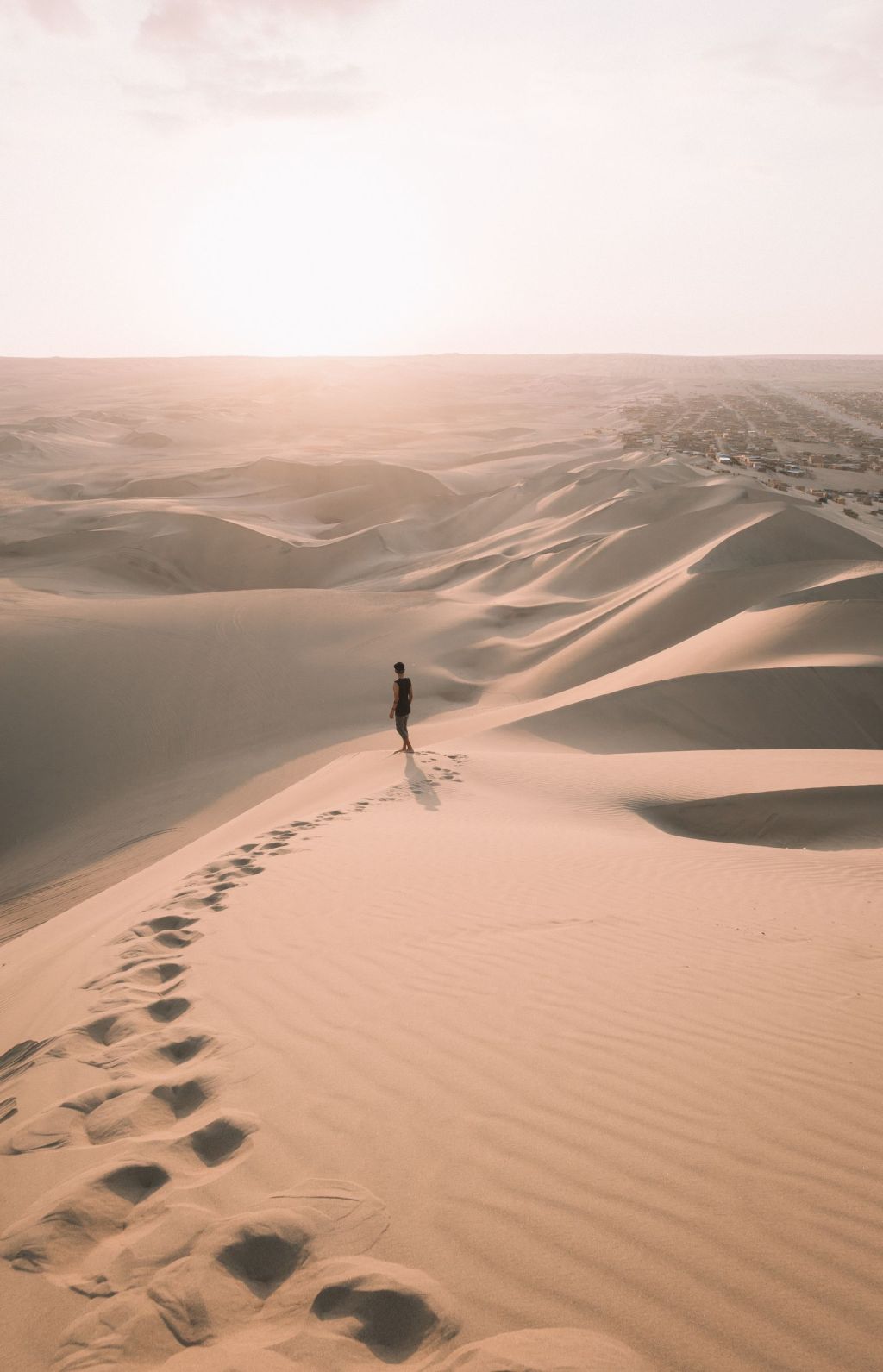 Prove Nothing, Follow Everything: Matthew 4 for Young&nbsp;Men
